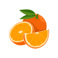 Orange | Orchard Fruit Names
