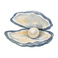 Oyster | Salty Water Animals Names