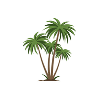Palm | Climbing Plants Names