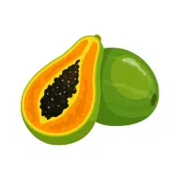 Papaya | Soft Fruits Names