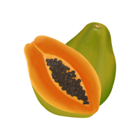 Papaya | Subtropical Fruits Names