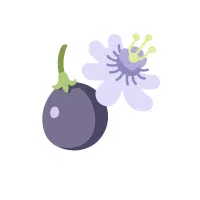 Passionfruit | Vine Fruits Names