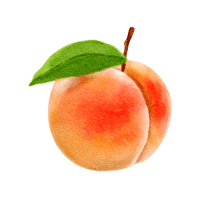 Peach | Stone Fruits Names