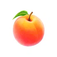 Peach | Soft Fruits Names