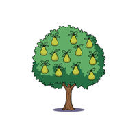 Pear | Deciduous Plants Names