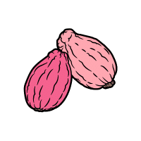 Peumo | Stone Fruits Names