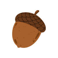 Pine Nut | Hard Fruits Names