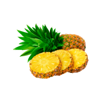 Pineapple | Subtropical Fruits Names