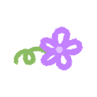 Pipe | Climbing Plants Names