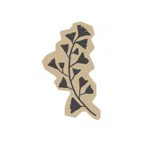 Plane | Deciduous Plants Names