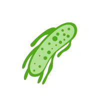 Plankton | Salty Water Animals Names