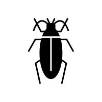 Planthopper | Nocturnal Insects Names