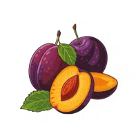 Plum | Soft Fruits Names