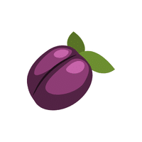 Plum | Deciduous Plants Names