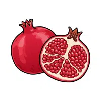 Pomegranate | Wild Fruits Names