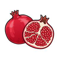 Pomegranate | Orchard Fruit Names
