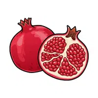 Pomegranate | Soft Fruits Names