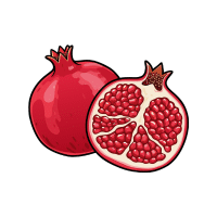Pomegranate | Hard Fruits Names
