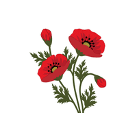 Poppy