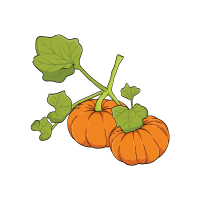 Pumpkin | Vine Fruits Names