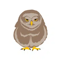 Pygmy | Nocturnal Birds Names
