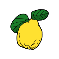 Quince | Hard Fruits Names