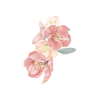 Quince | Deciduous Plants Names
