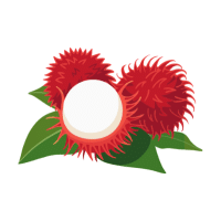 Rambutan | Stone Fruits Names