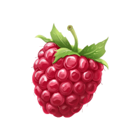 Raspberry | Berry Fruits Names