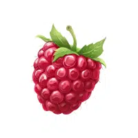 Raspberry | Wild Fruits Names