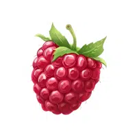 Raspberry | Soft Fruits Names