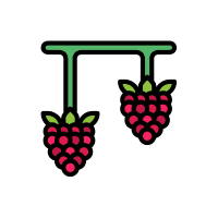Raspberry | Vine Fruits Names