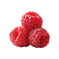 Raspberry | Subtropical Fruits Names