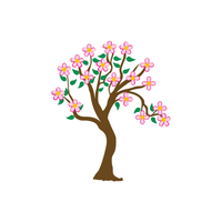 Redbud | Deciduous Plants Names