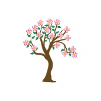 Redbud | Deciduous Plants Names