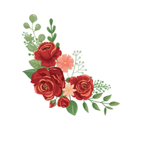 Rose | Deciduous Plants Names
