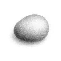 Rounded Form