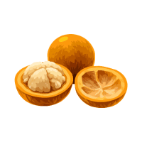 Santol | Stone Fruits Names