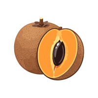 Sapodilla | Orchard Fruit Names