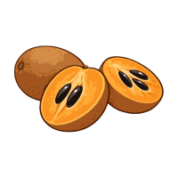 Sapodilla | Subtropical Fruits Names