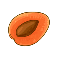 Sapote | Stone Fruits Names