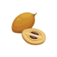Sapucaia | Hard Fruits Names