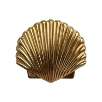 Scallop | Salty Water Animals Names