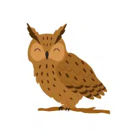 Screech | Nocturnal Birds Names
