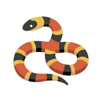 Sea Snake | Salty Water Animals Names