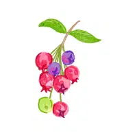 Serviceberry | Wild Fruits Names