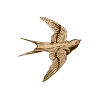 Shortear | Nocturnal Birds Names