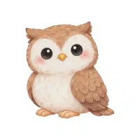 Skyowl | Nocturnal Birds Names