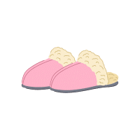 Slippers | Travel Wear Names