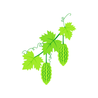 Snake gourd | Vine Fruits Names